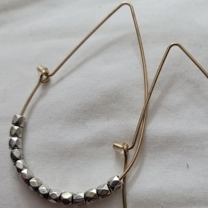 Silver and Gold tone earrings